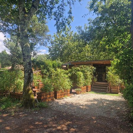 Chalet 2020 Camping 4 Etoiles Bassin D'Arcachon La Teste Buitenkant foto